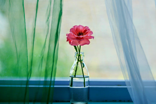 Sheer white curtains flowing with the summer breeze by an open window.