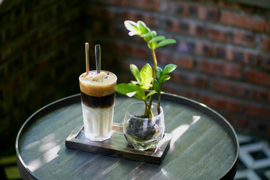 An iced latte and a small green plant on a round wooden table with dappled summer light.